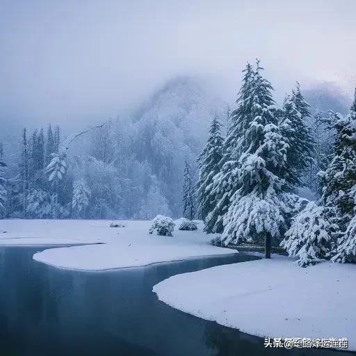 广州情感咨询顾问，广州心理健康顾问？